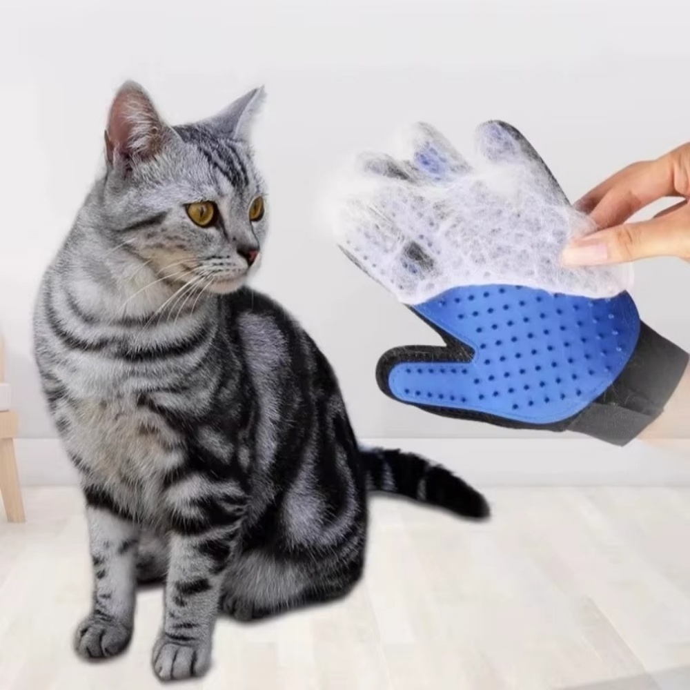 Evcil Hayvan Kedi Köpek Bakım  - Hair Spa Wellness incelemesi ve fiyatı